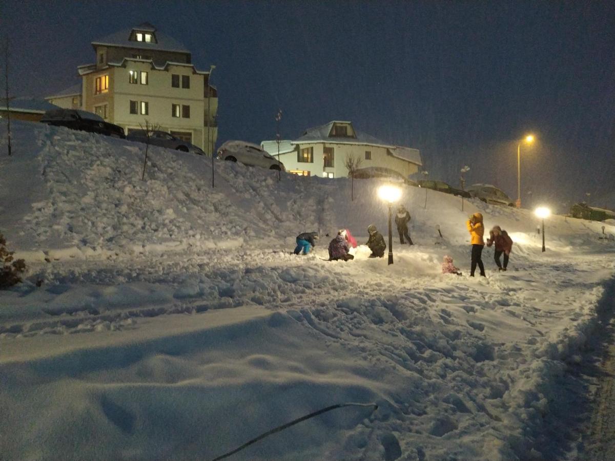 Milmari L29 Kopaonik
