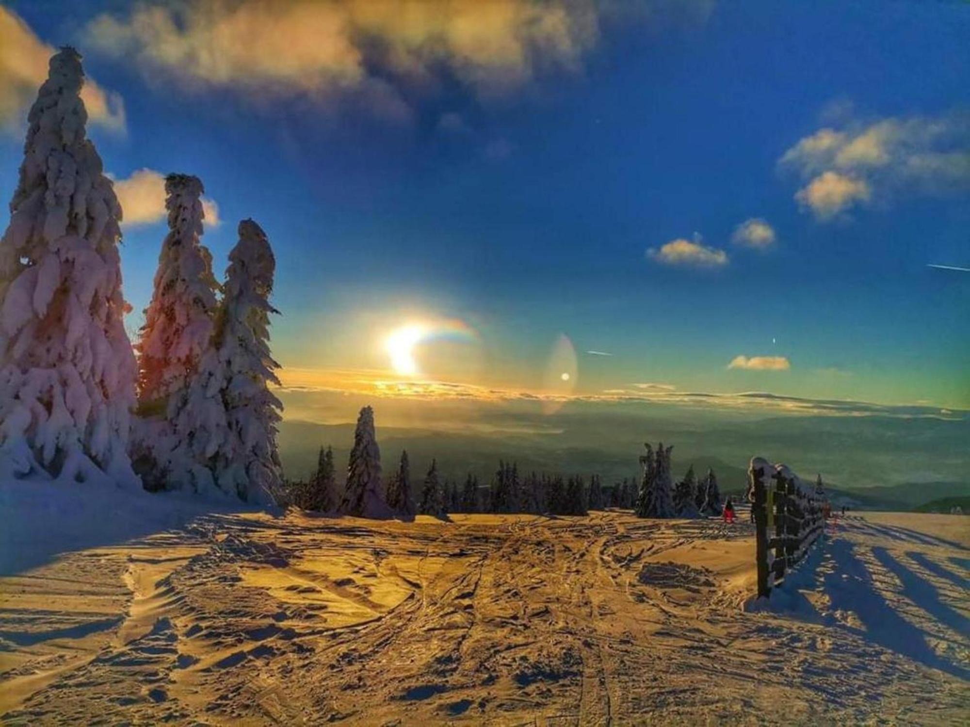 Milmari L29 Kopaonik